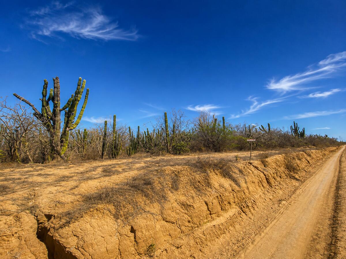 S/N s/n, Todos Santos-General, La Paz, photo 5