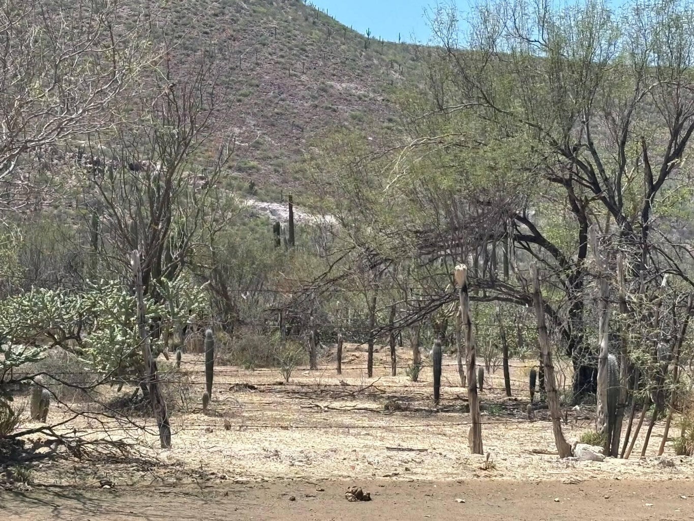 Lot, Centro, La Paz, photo 5