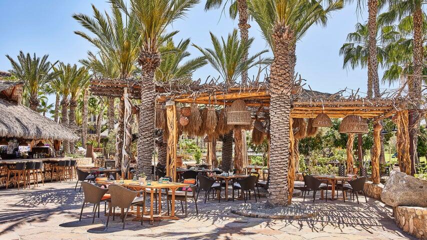 201 1/8 fraction mixed use 2&3 bed A-3, Esperanza, Cabo Corridor, photo 4
