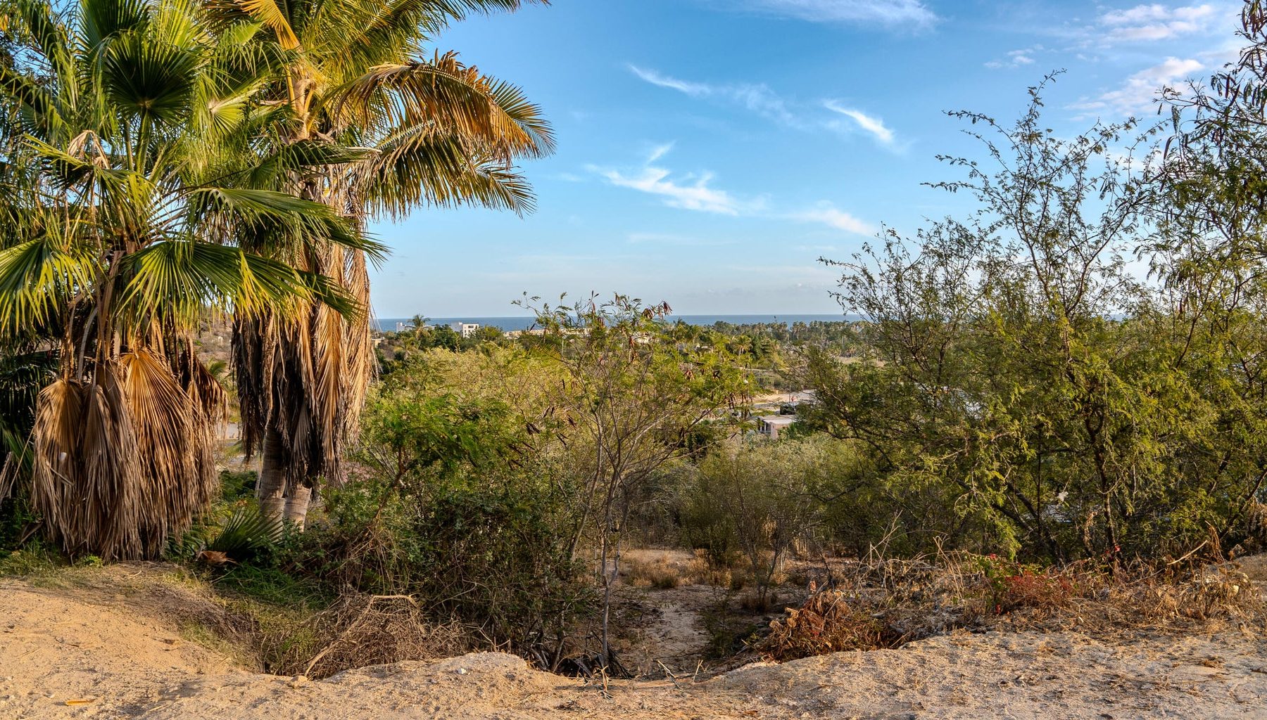 Lote 5 San Vicente y La Choya, San Jose del Cabo, photo 2