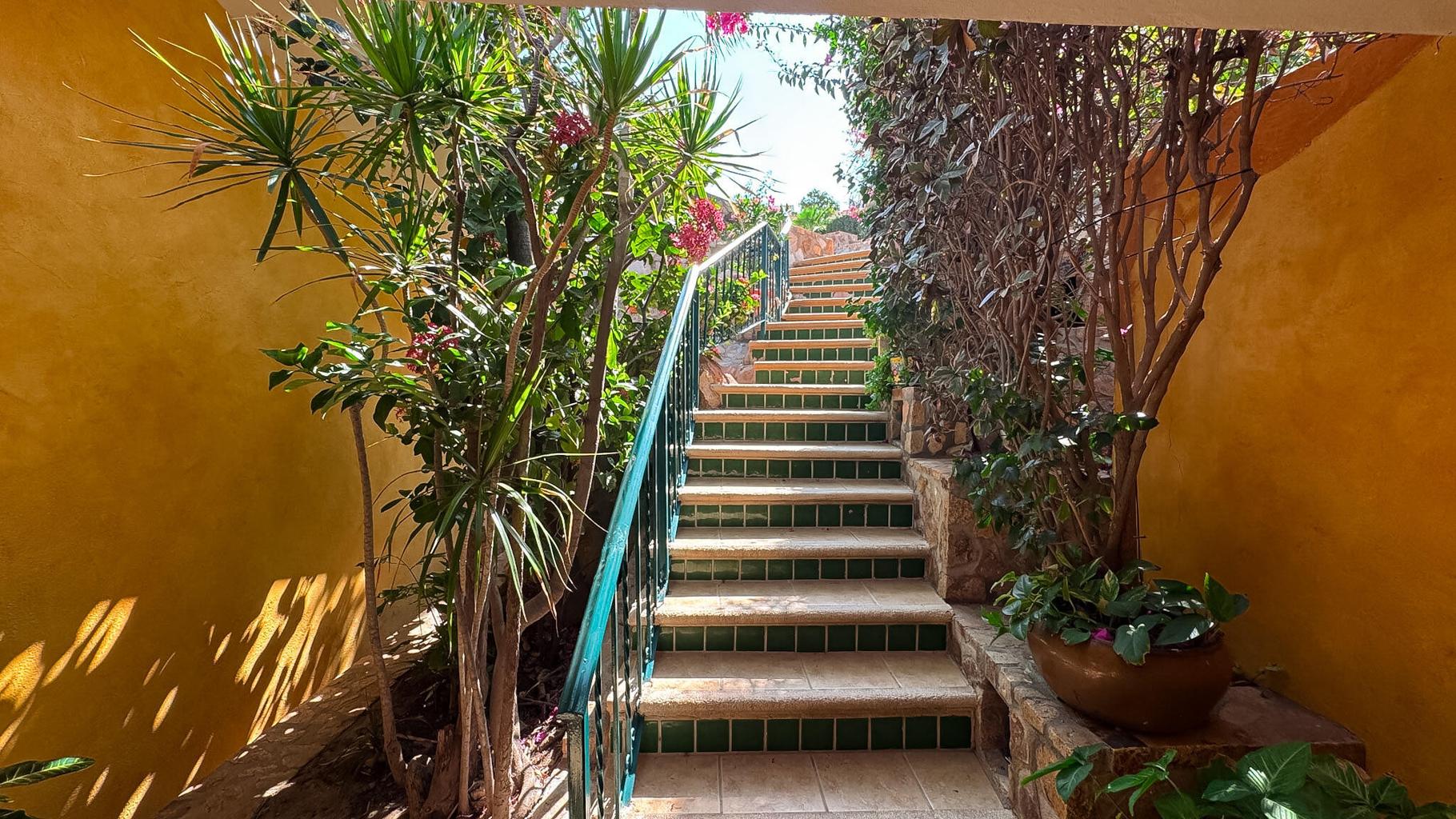 264 Camino Grande 04, Pedregal CSL, Cabo San Lucas, photo 4