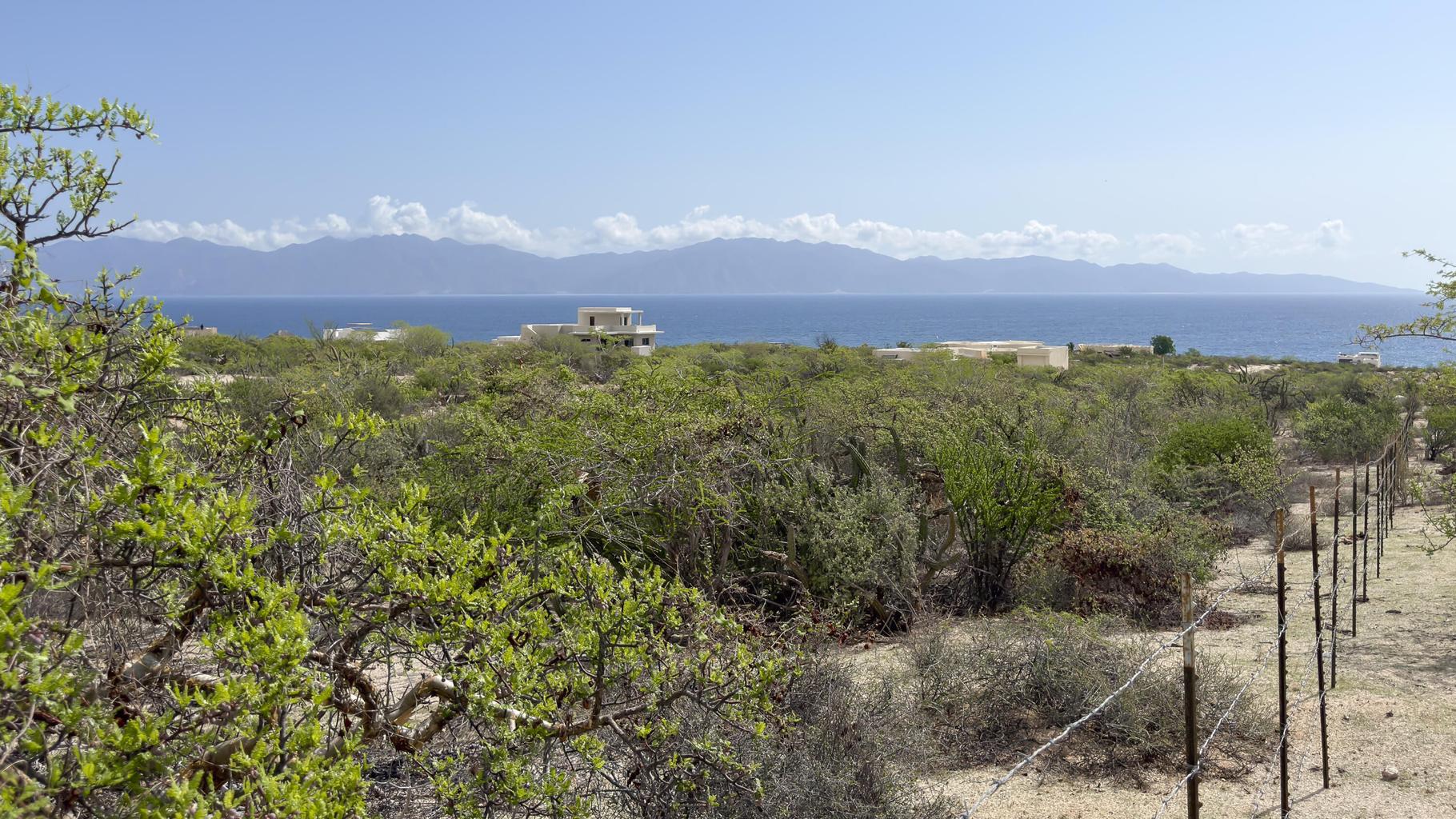 Lot 3 Carmen de la Pena Castro, El Sargento, La Paz, photo 4