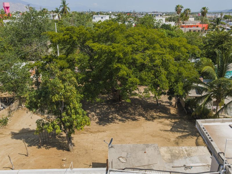 Lot in El Rosarito, San Jose del Cabo