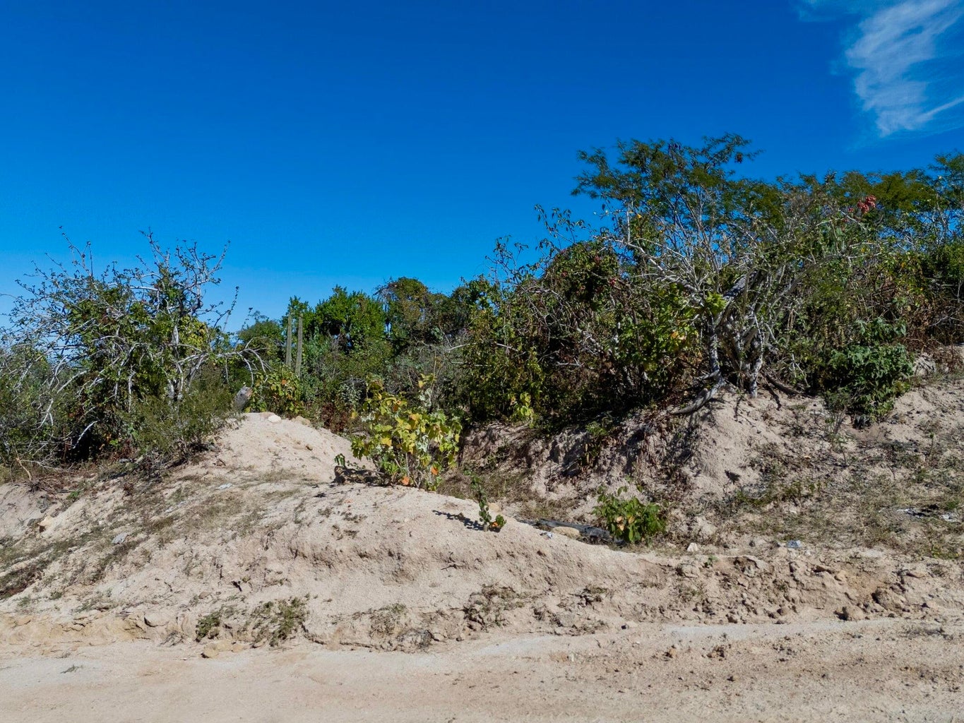 FRACC. M ECINTOS, Todos Santos Nth-Gen, Pacific, photo 3
