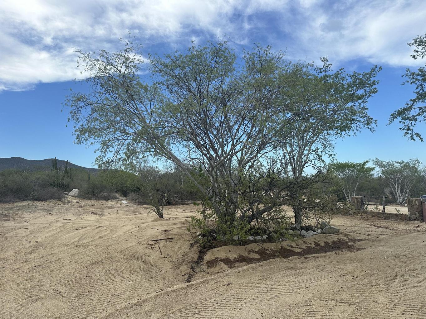 60 Circuito Del Sol, Colina del Sol, East Cape, photo 3
