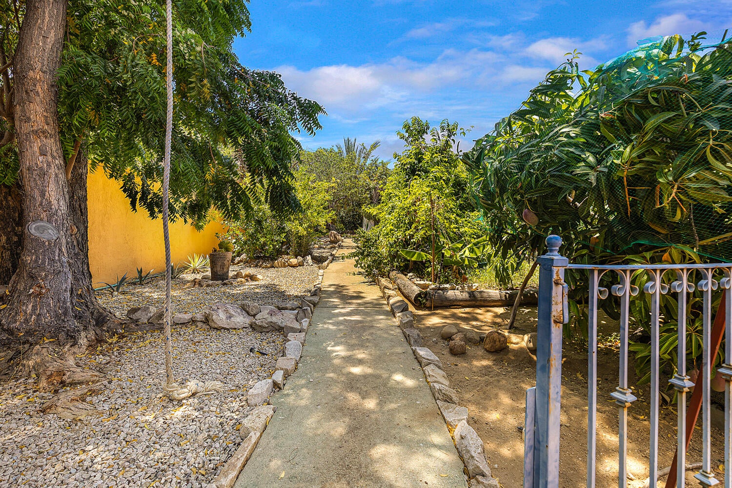 Sta Anita 8, El Tule-Inland:General, San Jose Corridor, photo 5