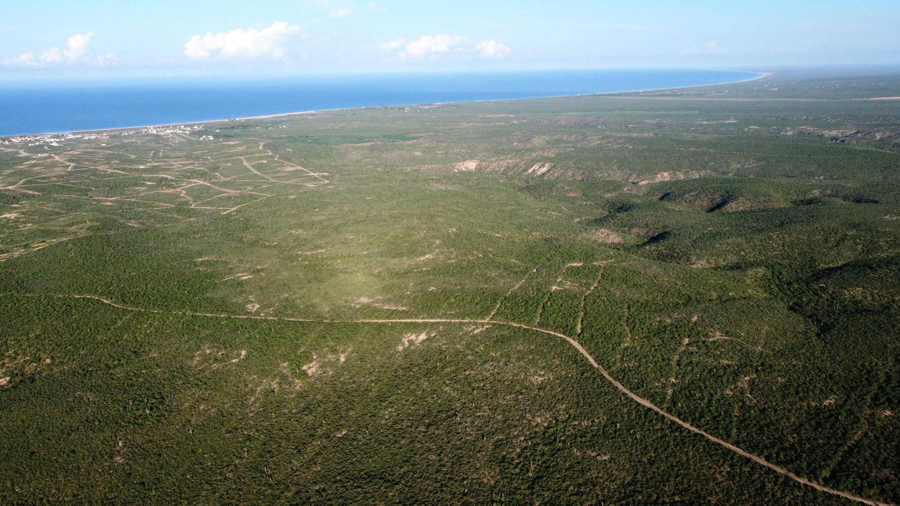 Lot in Todos Santos-General, Pacific, photo 3