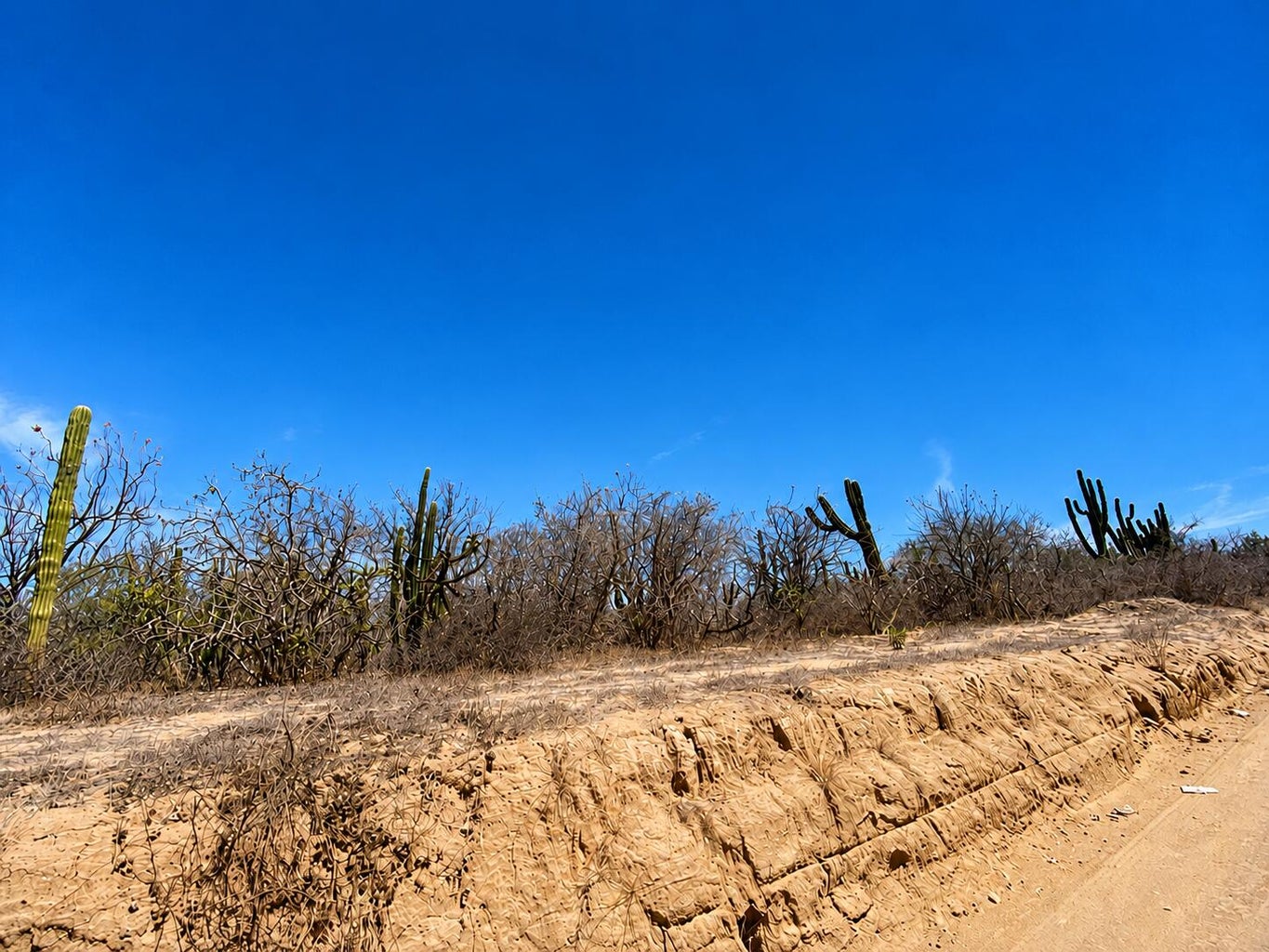 S/N s/n, Todos Santos-General, La Paz, photo 3