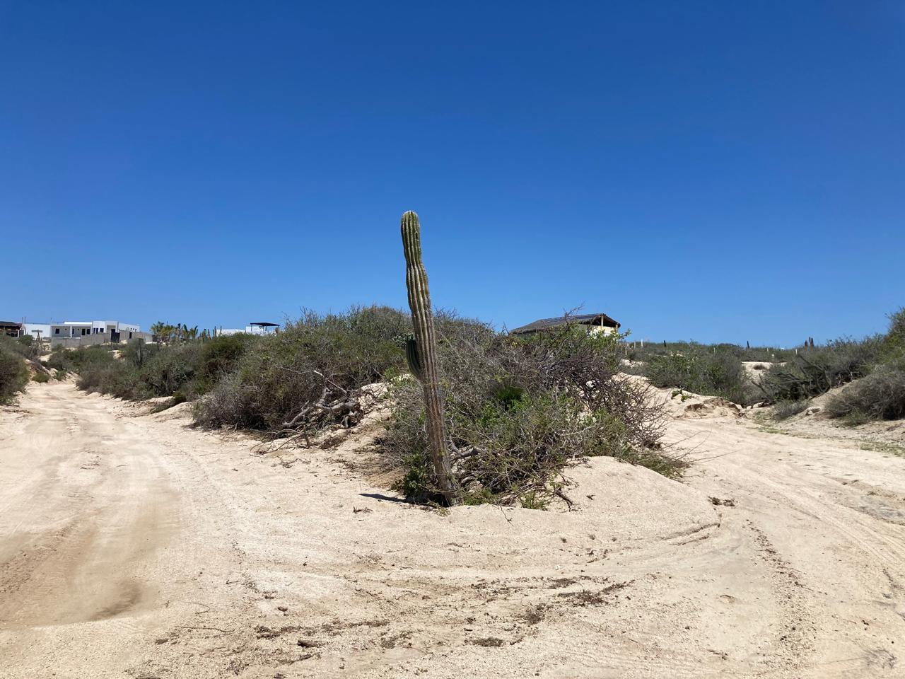 NHN Camino Cabo Este, Rancho Tortuga, East Cape, photo 3