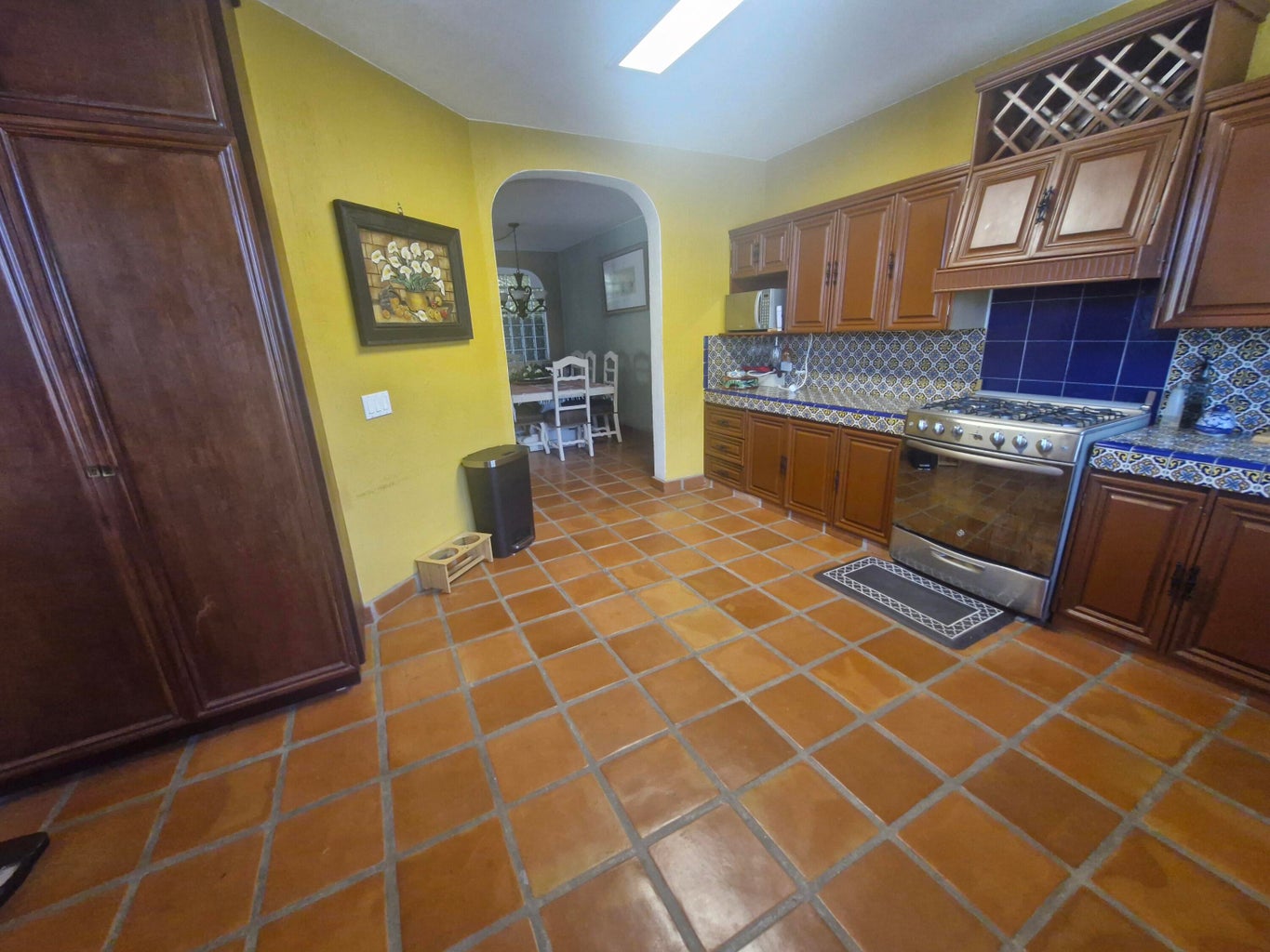 21 Calle Cirio, Magisterial, San Jose del Cabo, photo 3