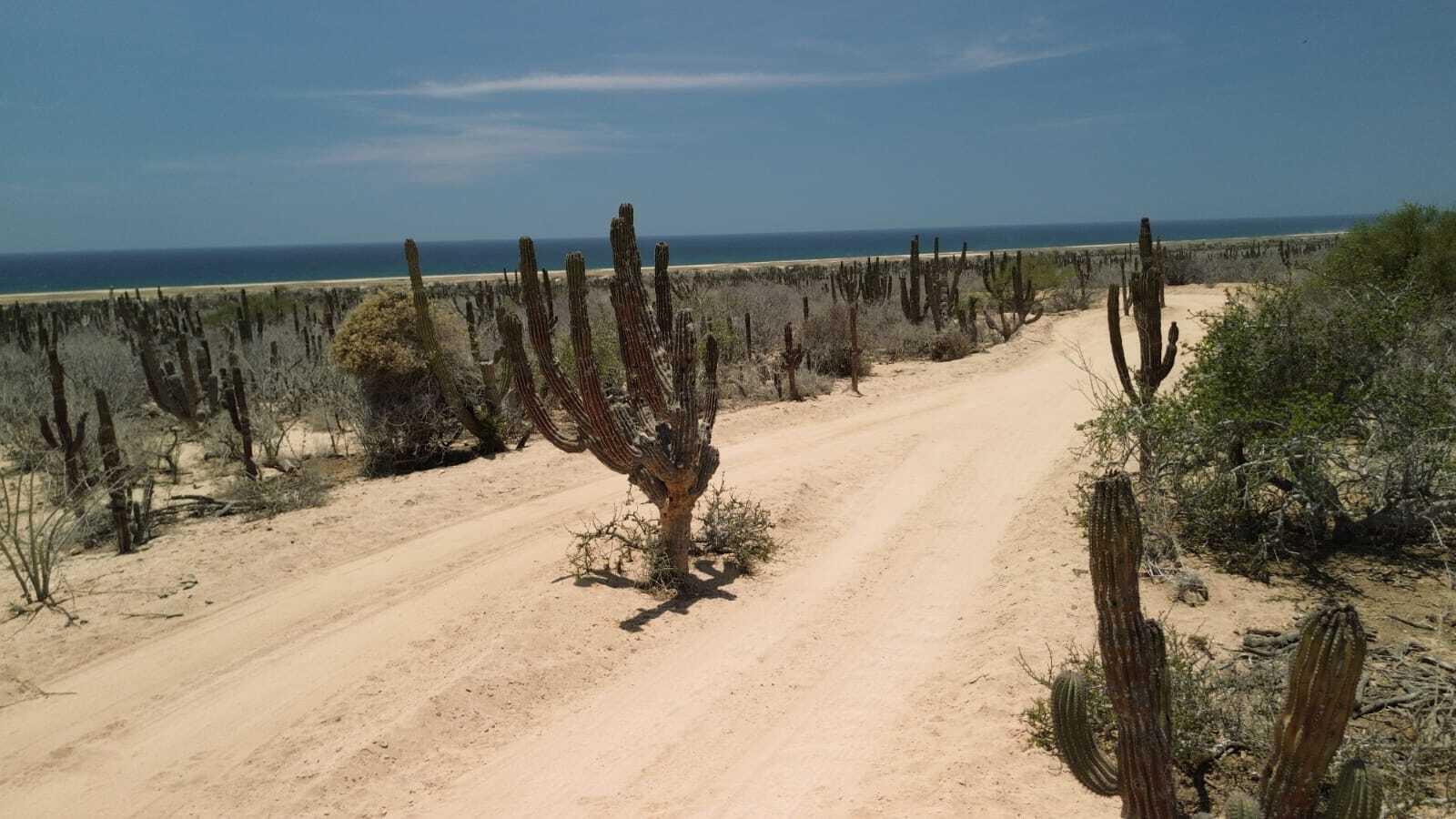 S/N Lomas de las, La Pastora, Pacific, photo 3
