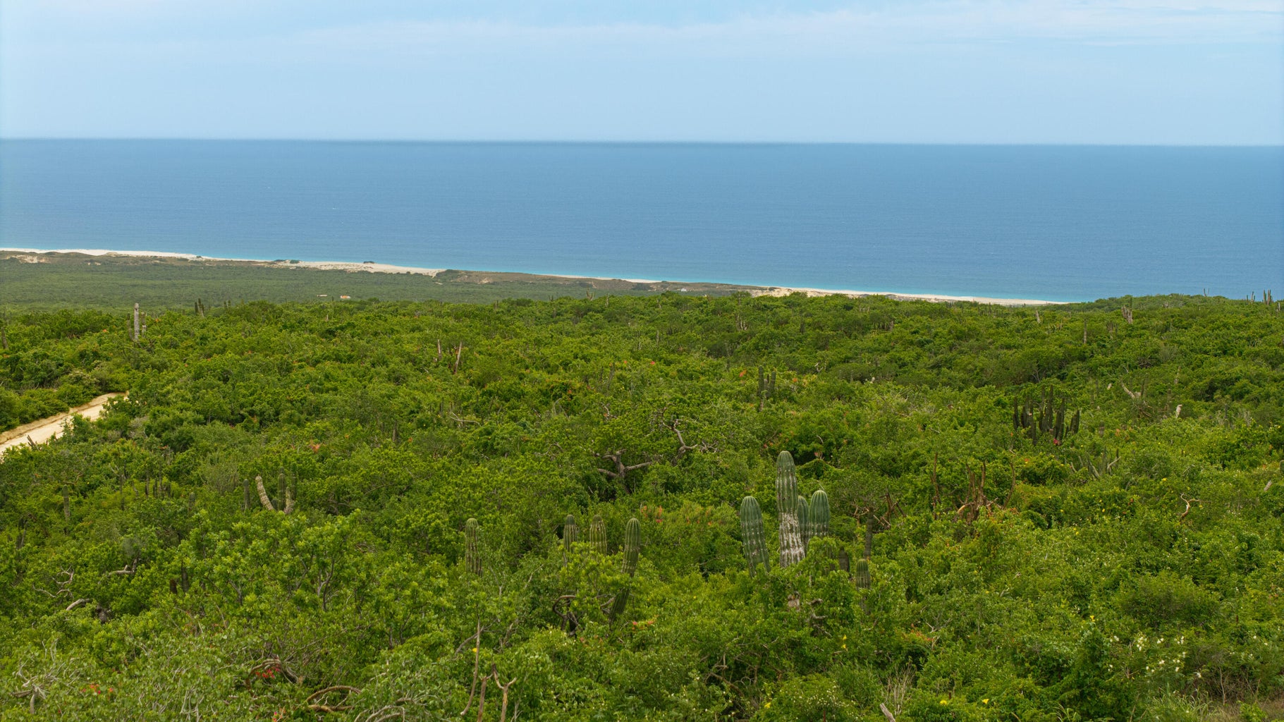 Lot in Rolling Hills, Pacific, photo 5