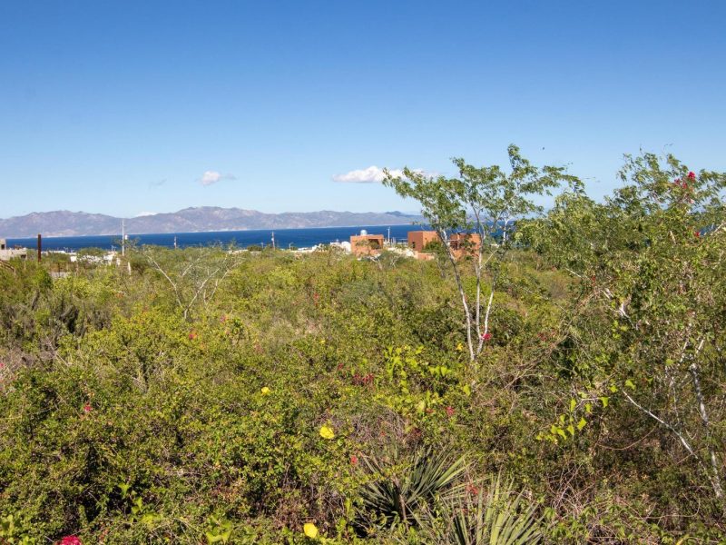Isla Natividad, El Sargento, La Paz