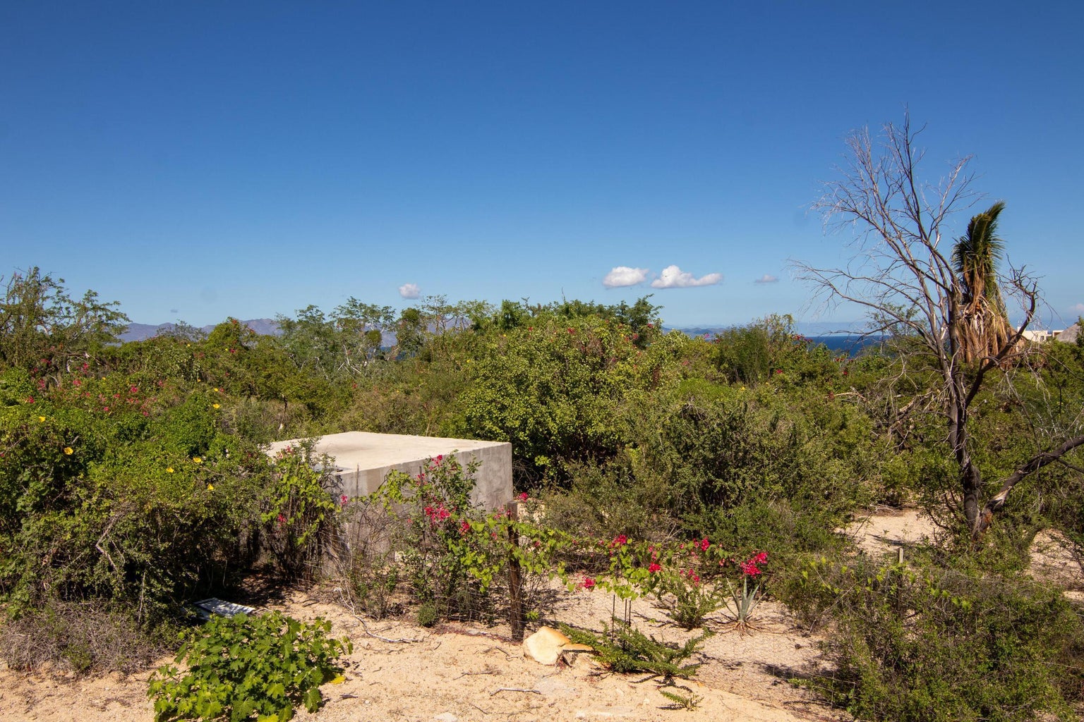 Isla Natividad, El Sargento, La Paz, photo 5