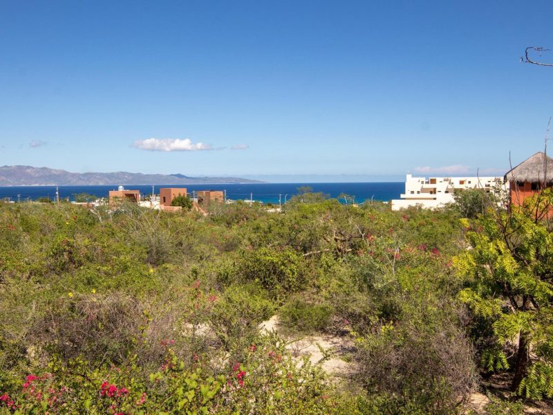 Isla Natividad, El Sargento, La Paz