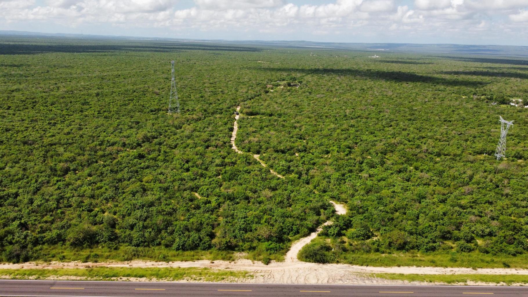 Lot in San Pedro, La Paz, photo 4