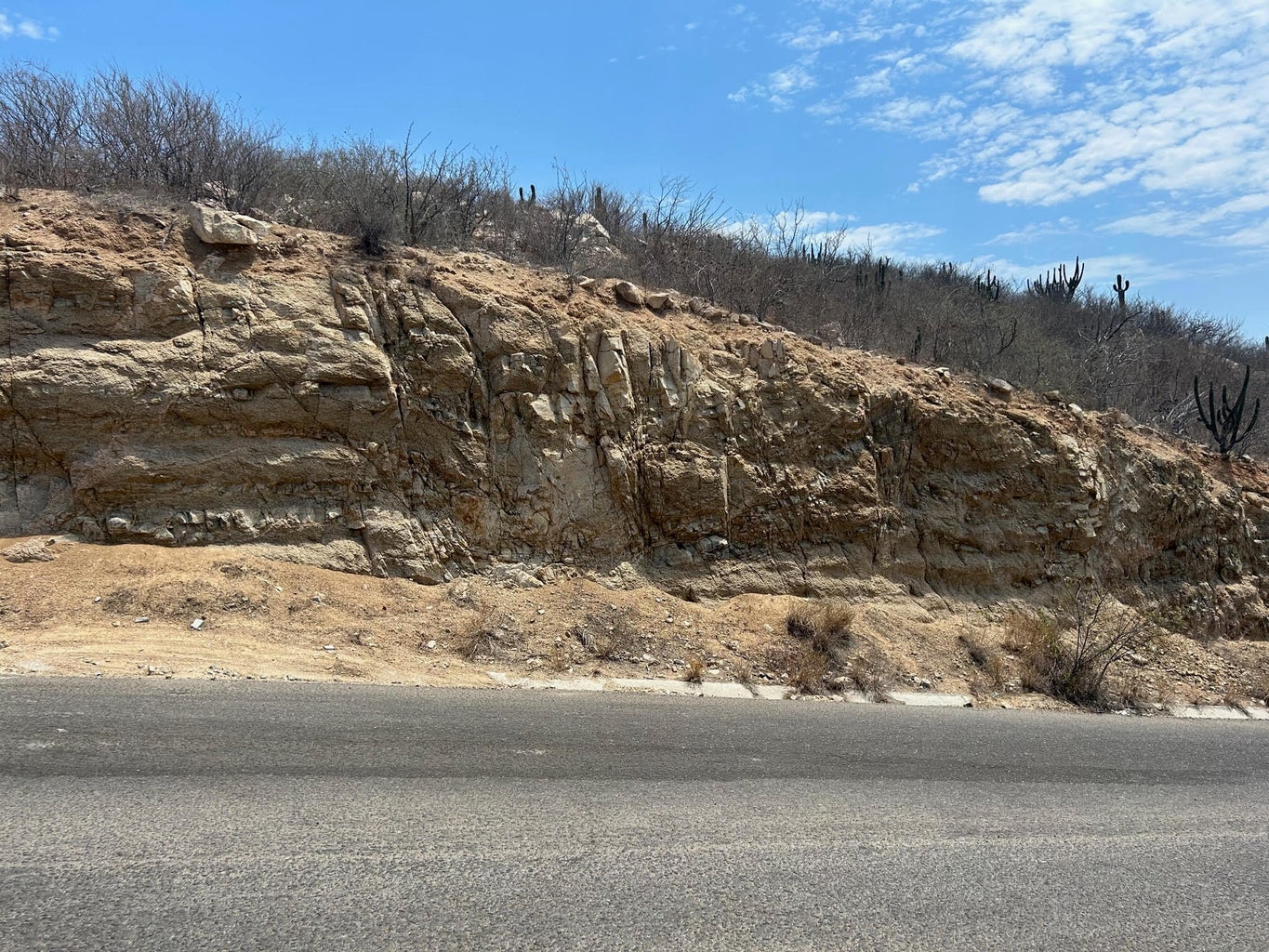 Via De Lerry lote 13, Sunset, Cabo San Lucas, photo 4