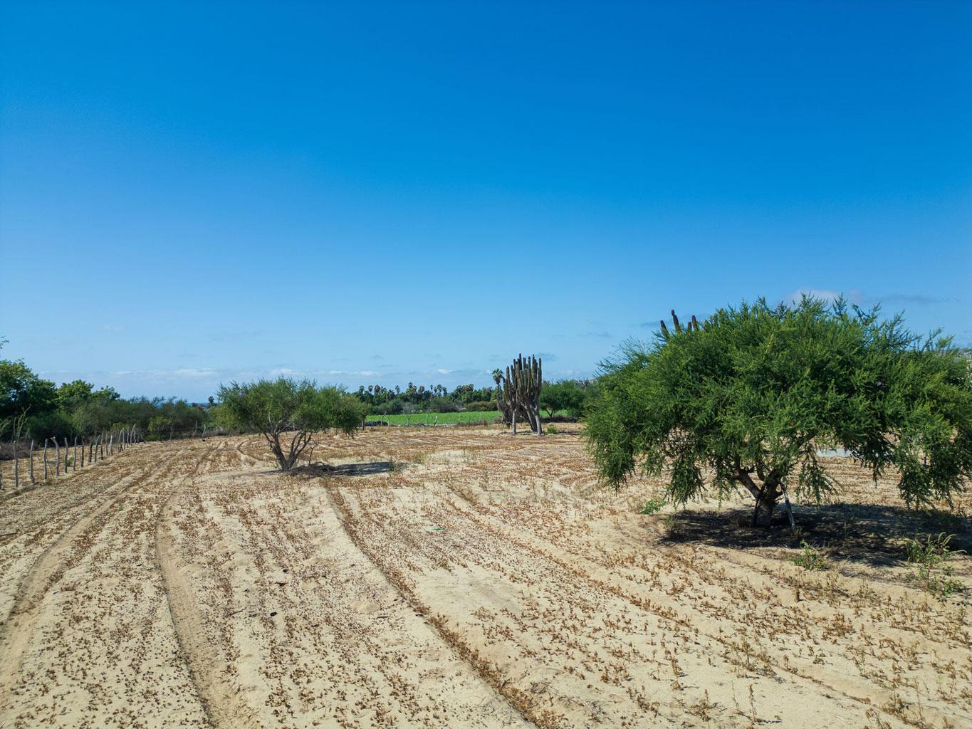Lot in Pescadero, Pacific, photo 2