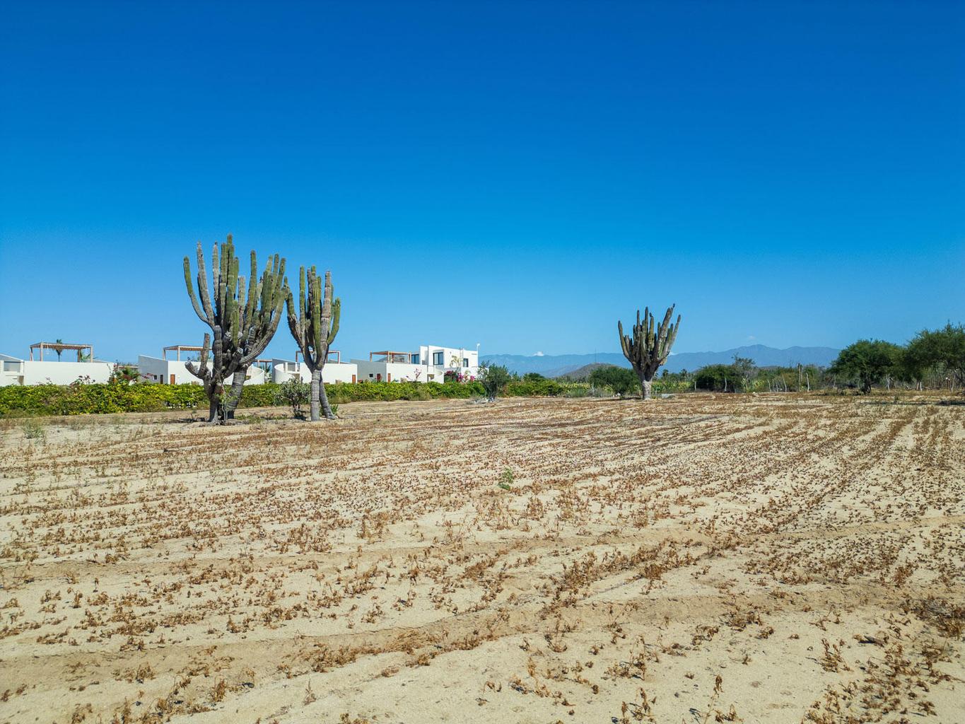 Lot in Pescadero, Pacific, photo 2