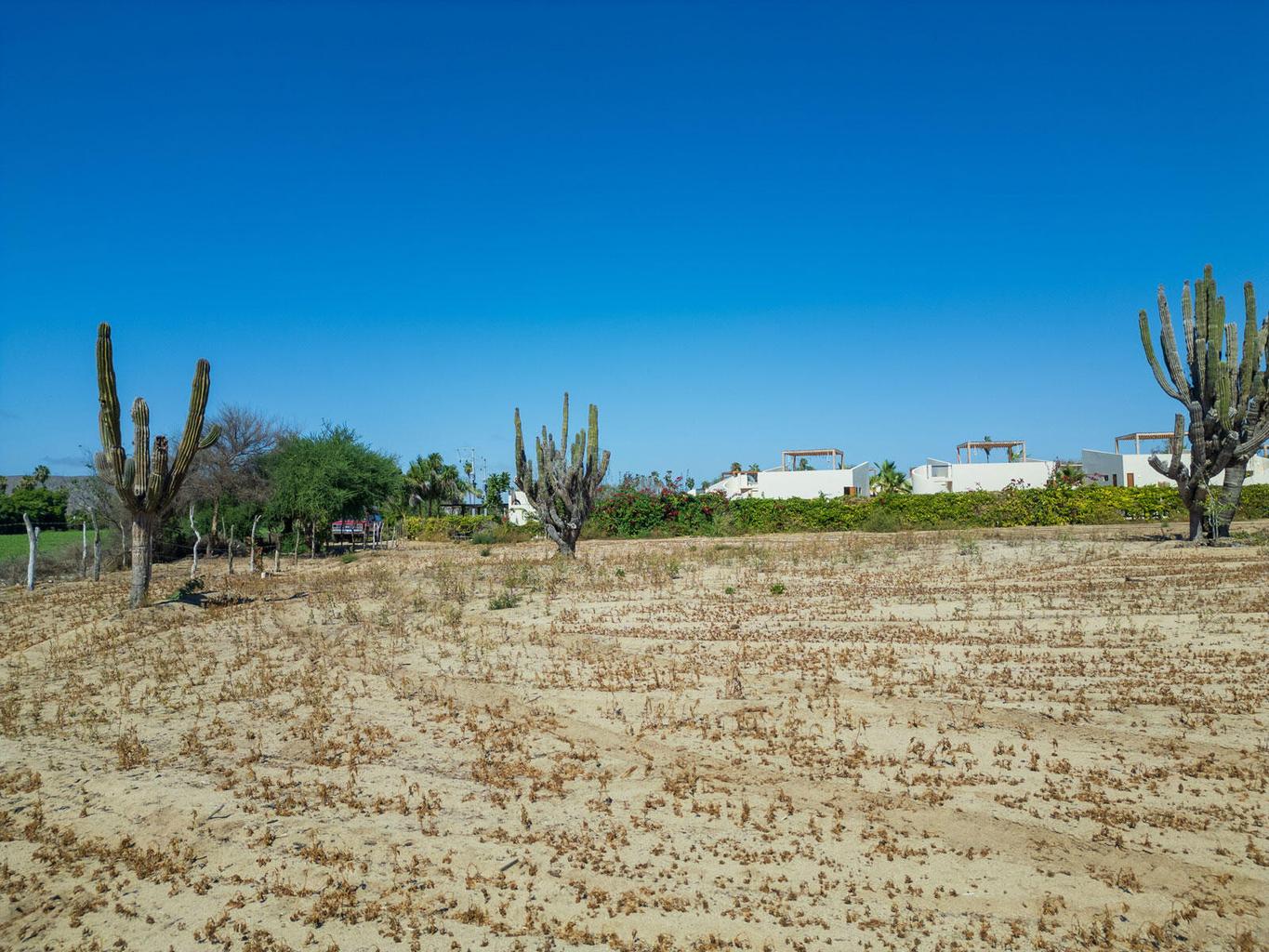Lot in Pescadero, Pacific, photo 3