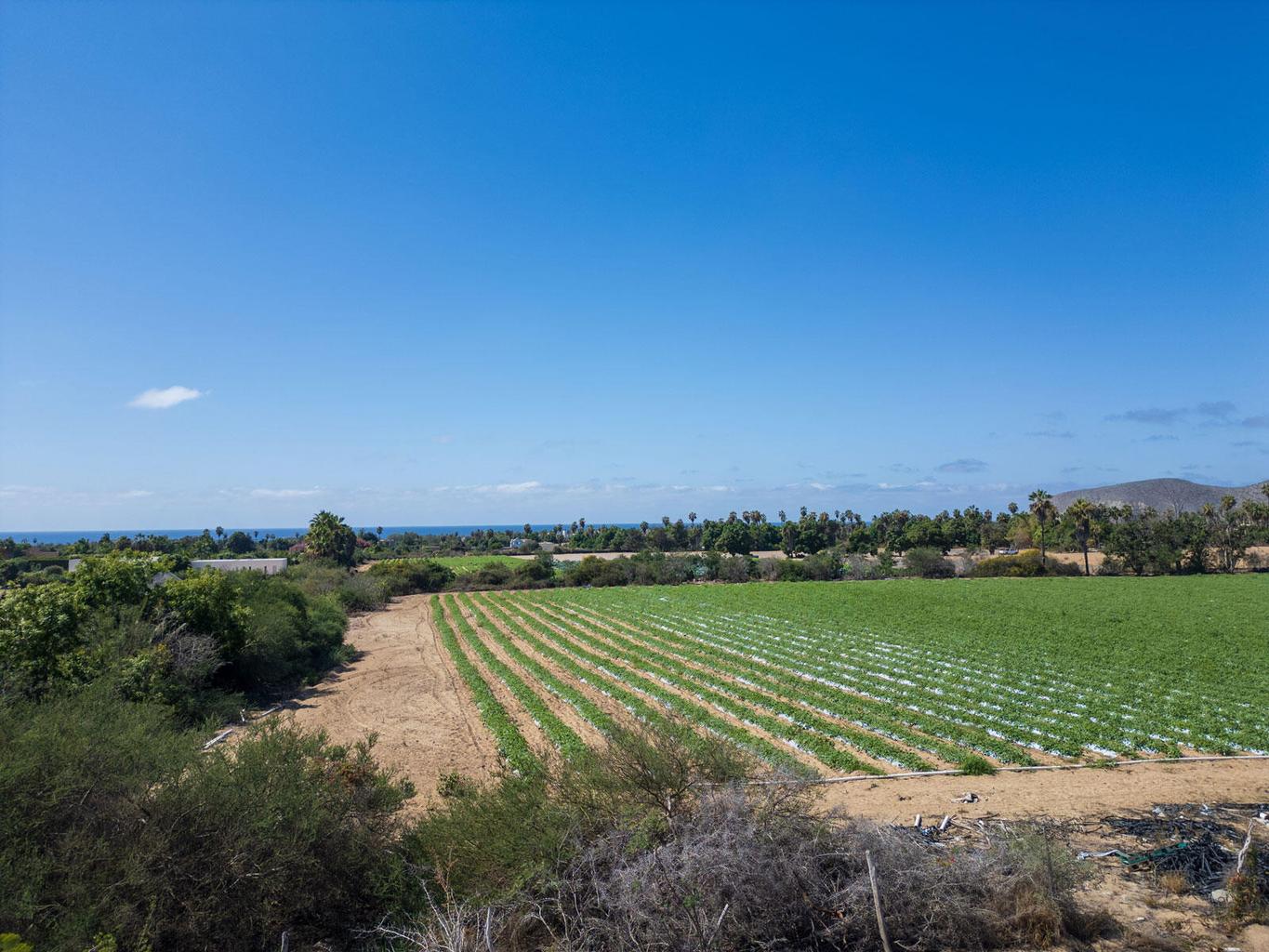 Lot in Pescadero, Pacific, photo 4