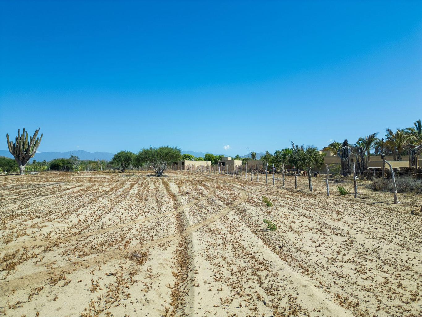 Lot in Pescadero, Pacific, photo 5