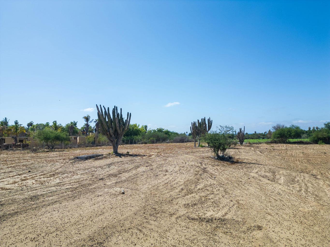 Lot in Pescadero, Pacific, photo 2