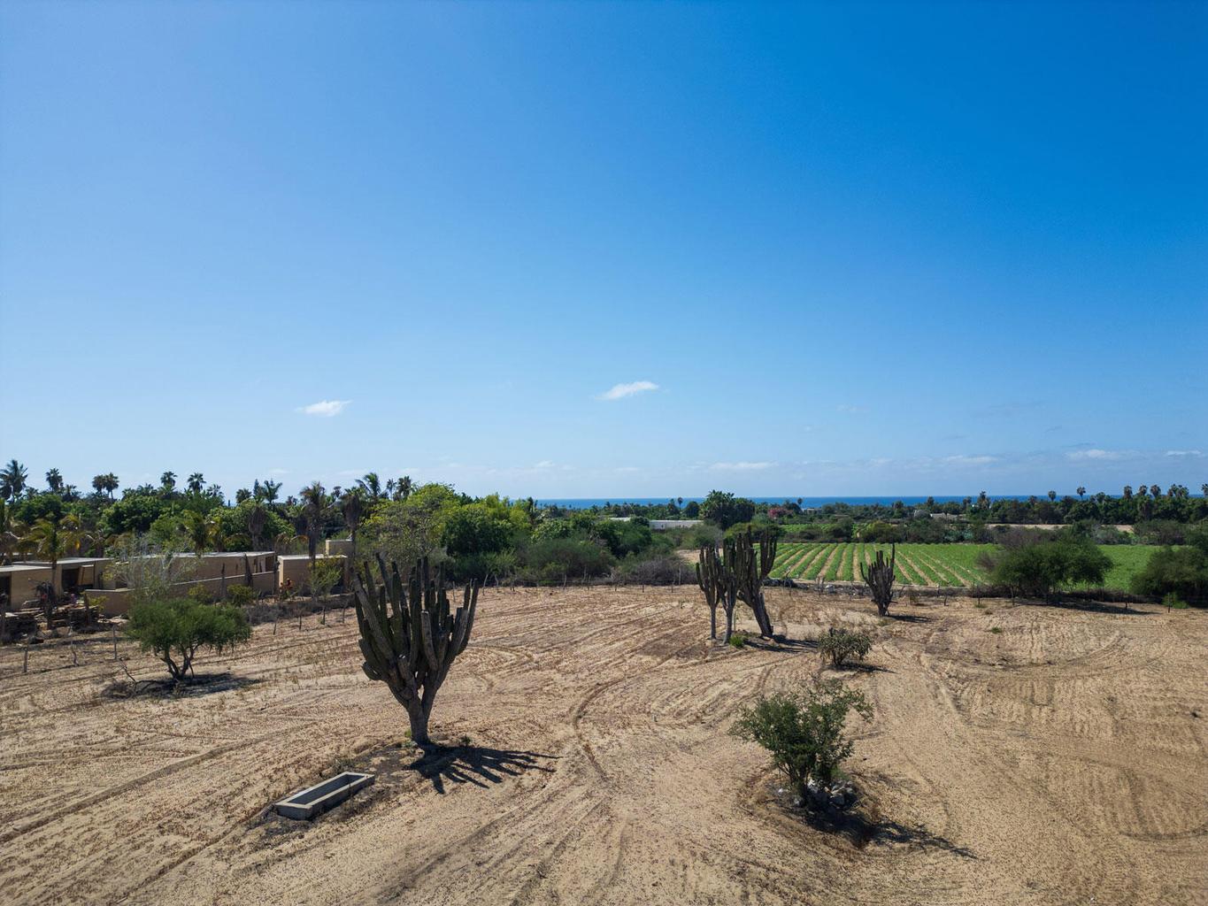 Lot in Pescadero, Pacific, photo 4