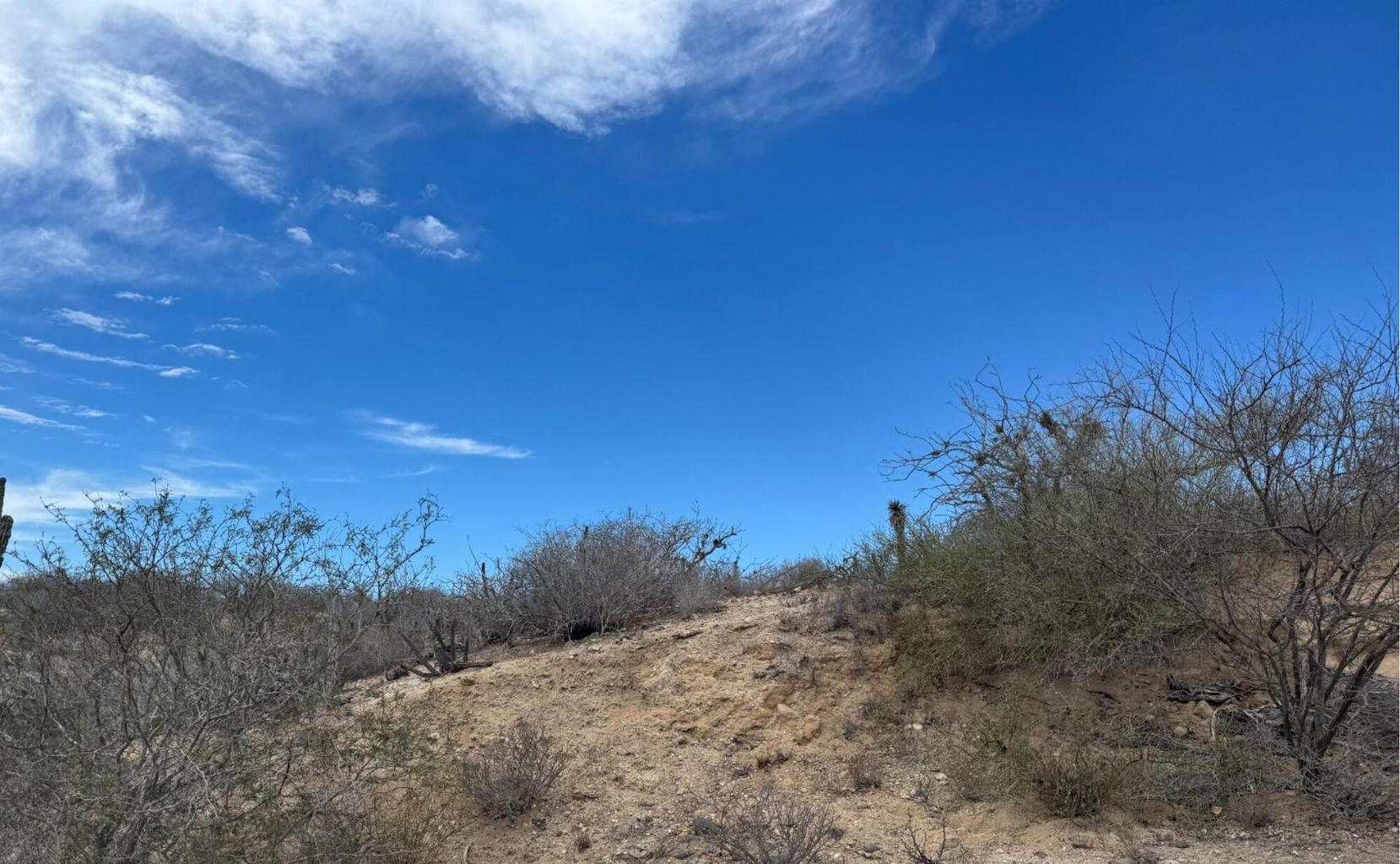 Camino de la Mojarra, Agua Blanca, Pacific, photo 3