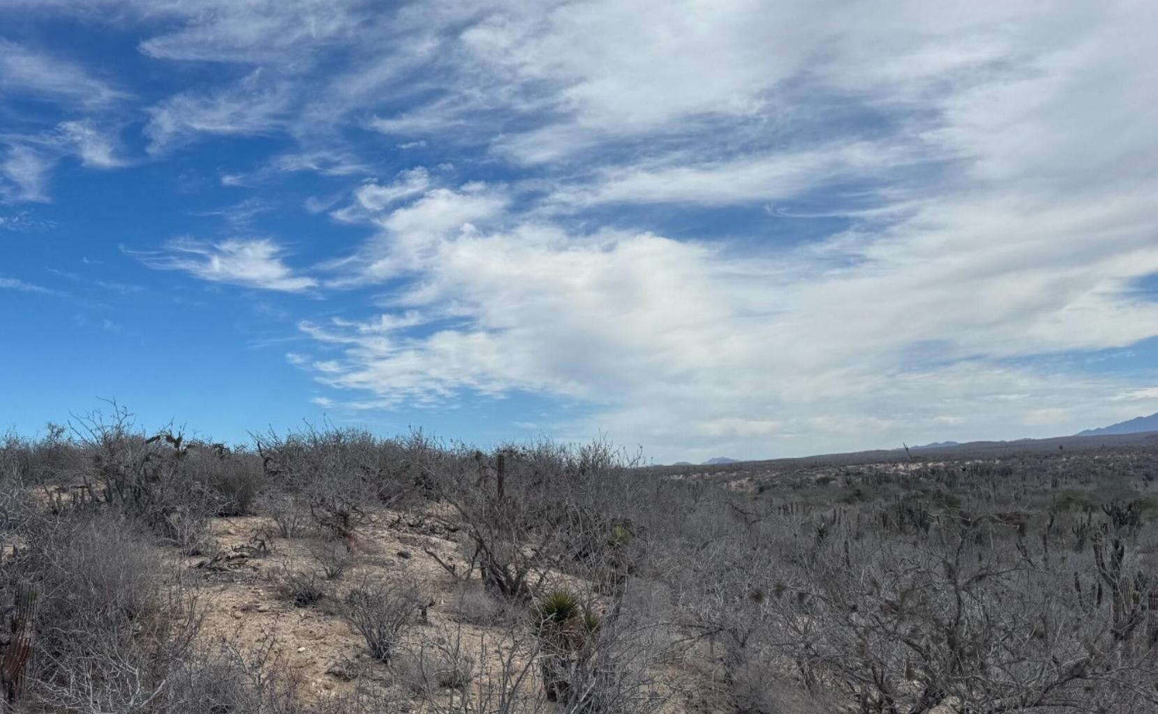 Camino de la Mojarra, Agua Blanca, Pacific, photo 5