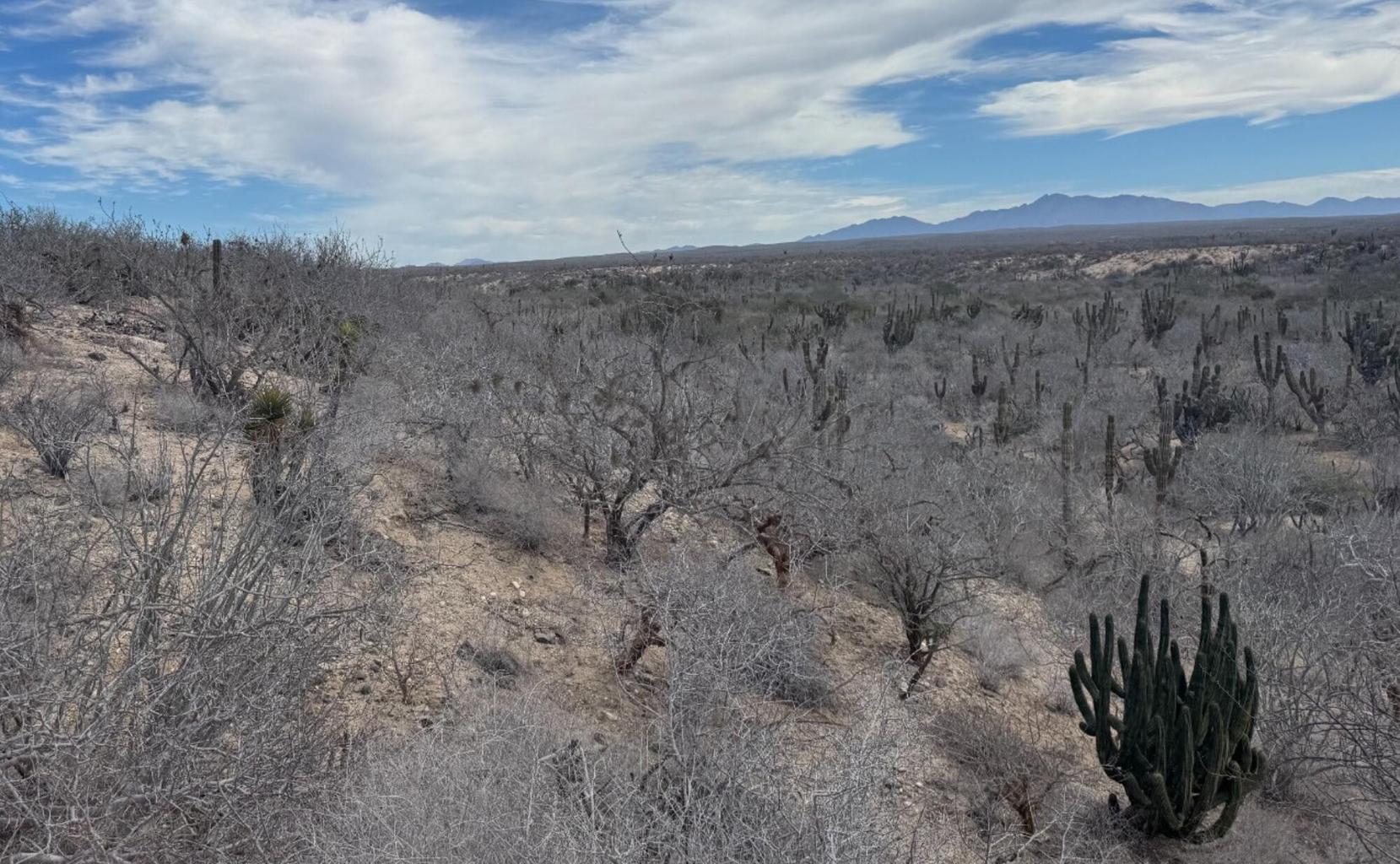 Camino de la Mojarra, Agua Blanca, Pacific, photo 4