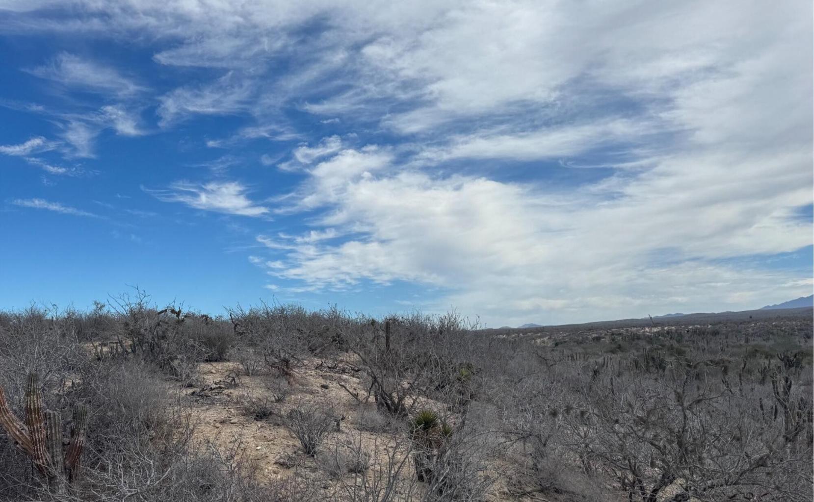Camino de la Mojarra, Agua Blanca, Pacific, photo 5