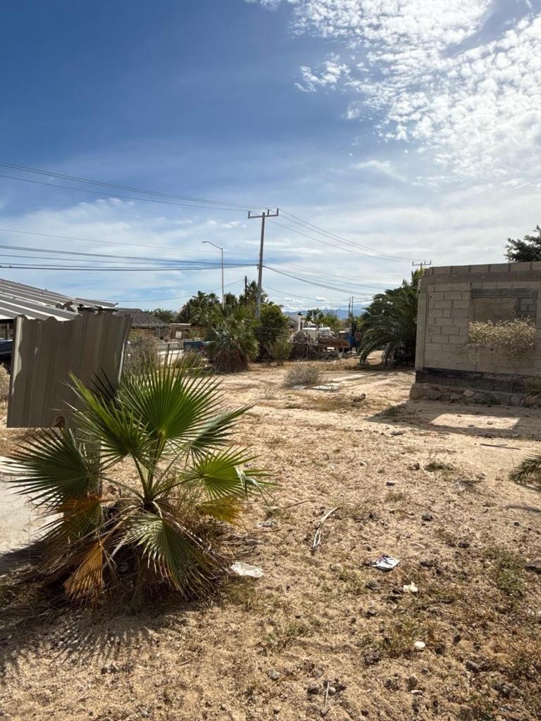 corredor Isla Cerralvo, El Sargento, La Paz, photo 5