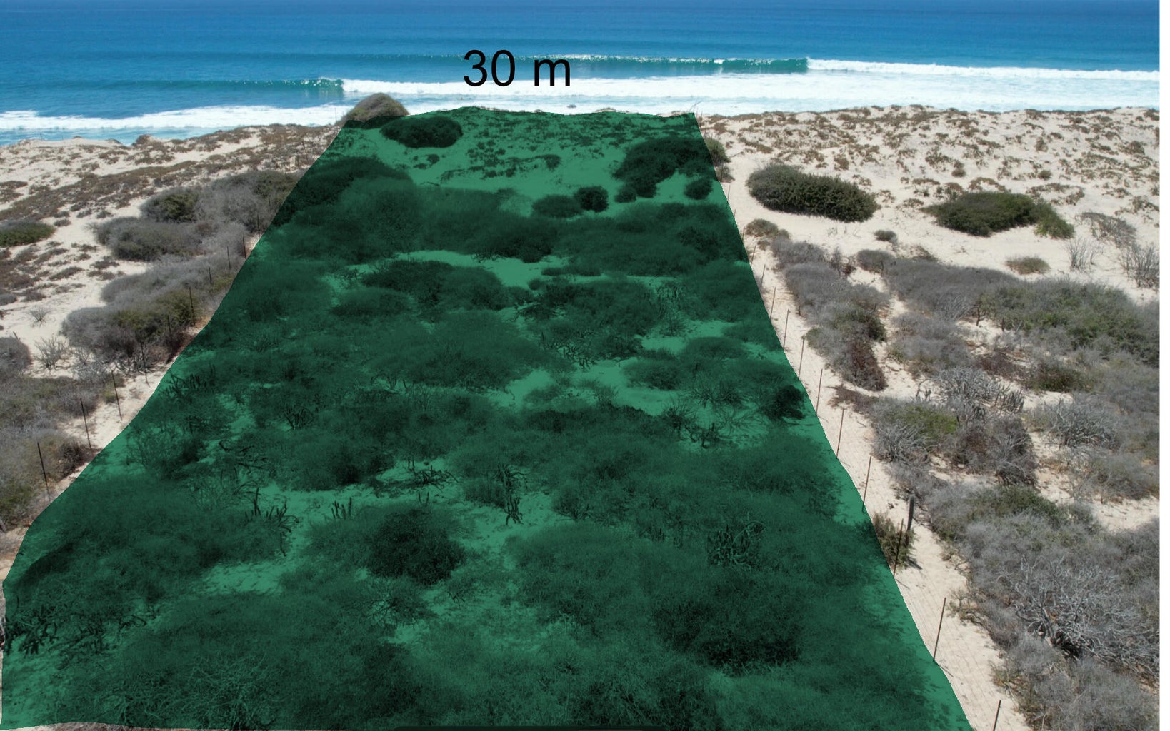 Lot 10 Demacias de San Luis,East Cape, photo 2