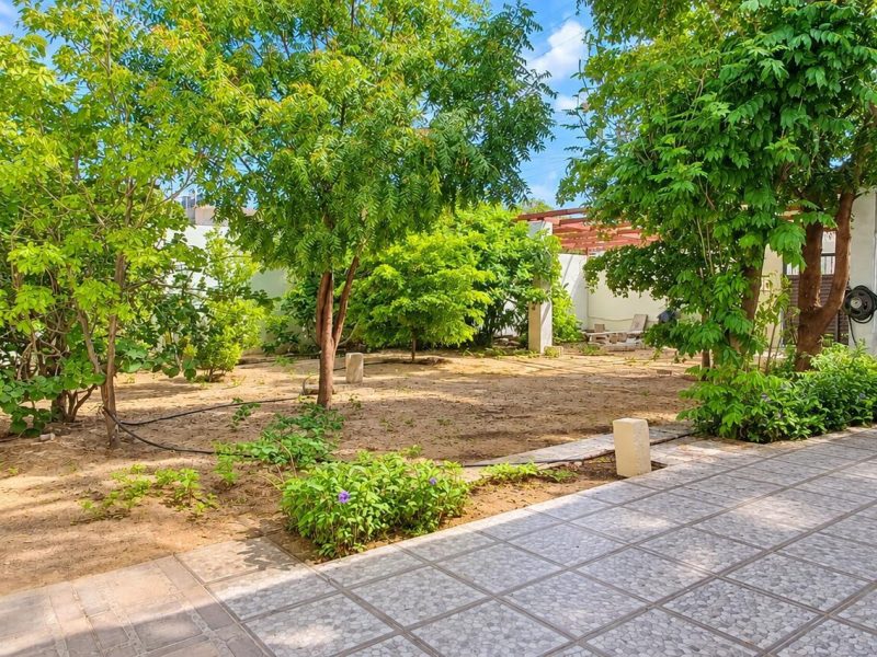 Lt 9 Blv Palma de Abanico Mza 56, Lomas del Sol, Cabo San Lucas