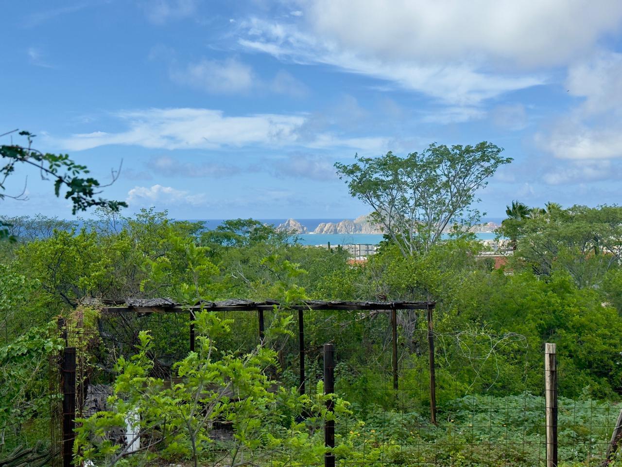 El Tezal, El Tezal E;General, Cabo Corridor, photo 2