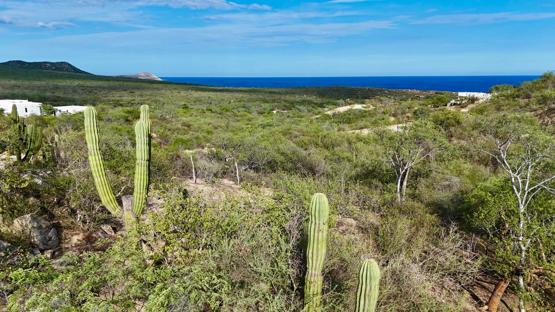 Lot 2 Block 7 Laguna Hills, San Jose del Cabo, photo 4
