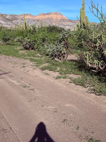 Lot in El Cajete, La Paz, photo 4