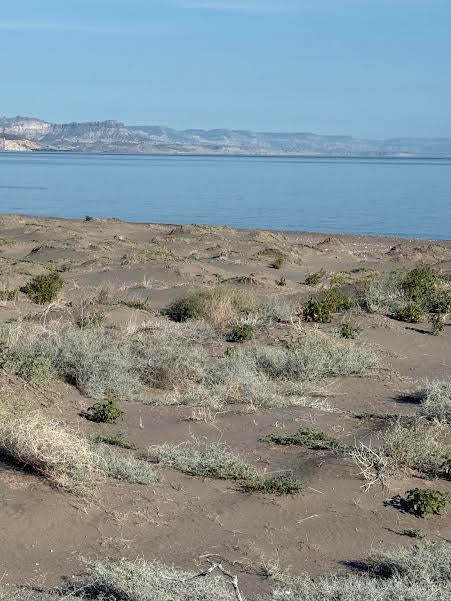 Lot in El Cajete, La Paz, photo 5