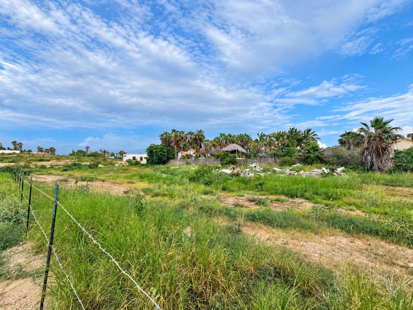 Calle Ostion, Las Brisas- Todos Santos, Pacific, photo 5
