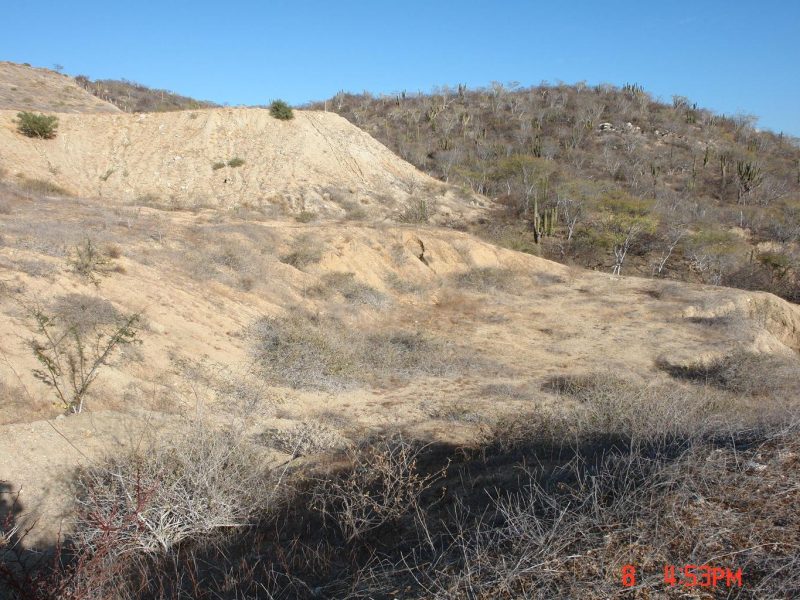 Lot in Section 19, San Jose Corridor