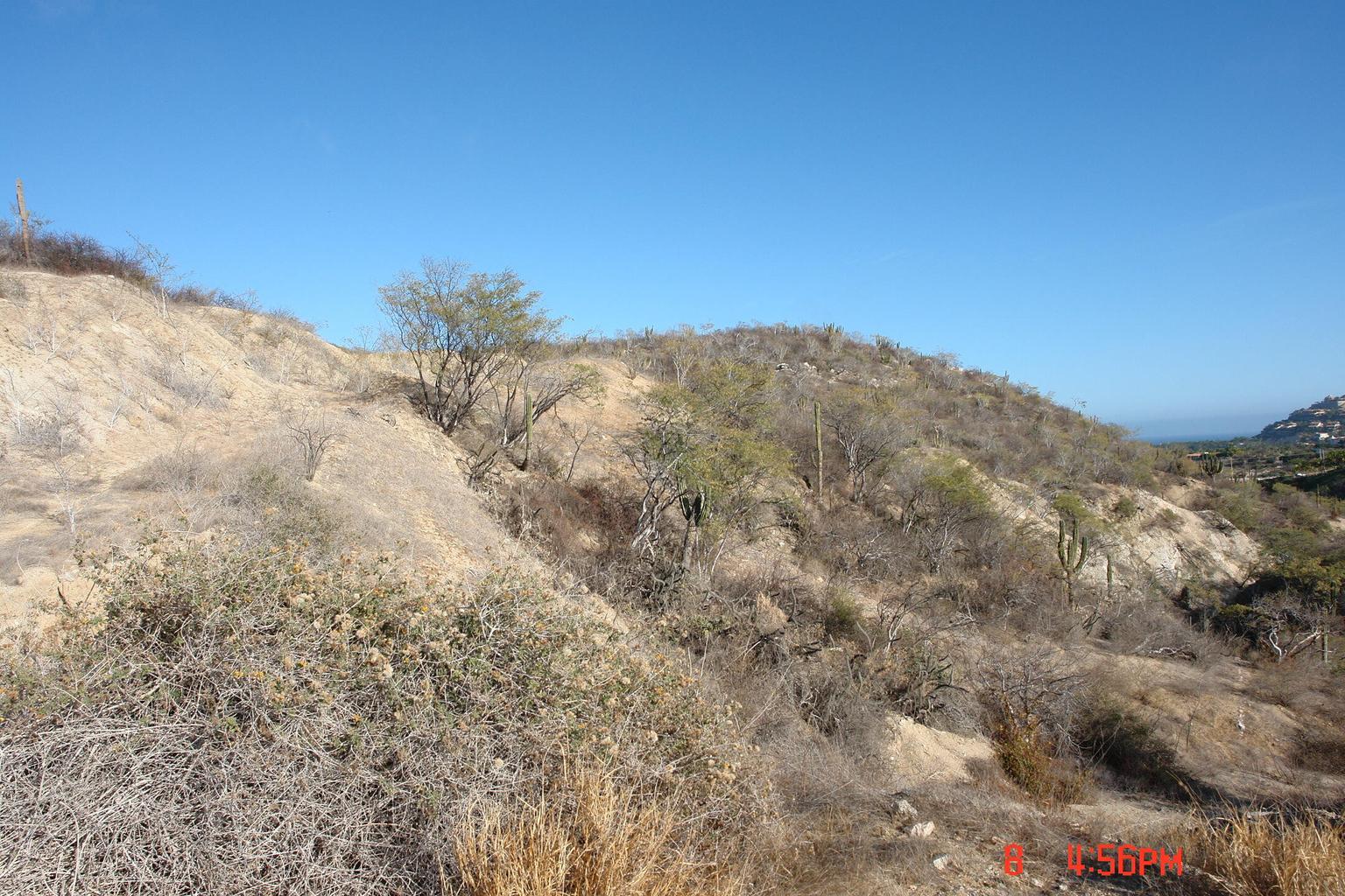 Lot in Section 19, San Jose Corridor, photo 5