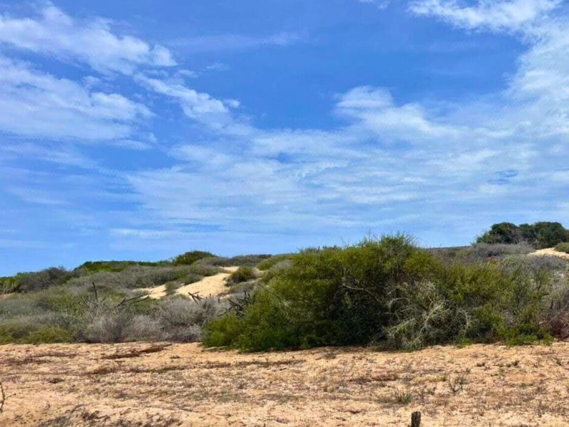 Camino de la Mojarra, Agua Blanca, Pacific