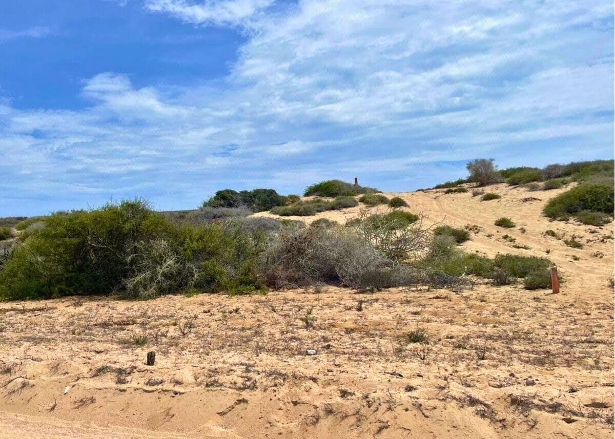 Camino de la Mojarra, Agua Blanca, Pacific, photo 4