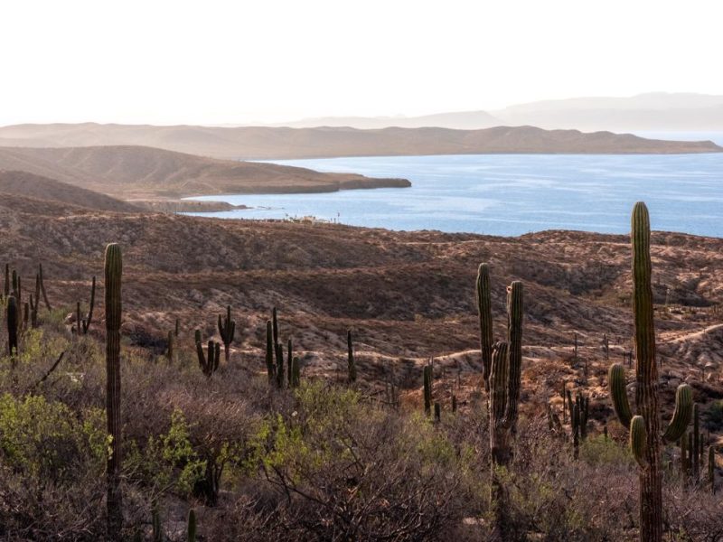 Puerto Mexia, Madre Perla, East Cape