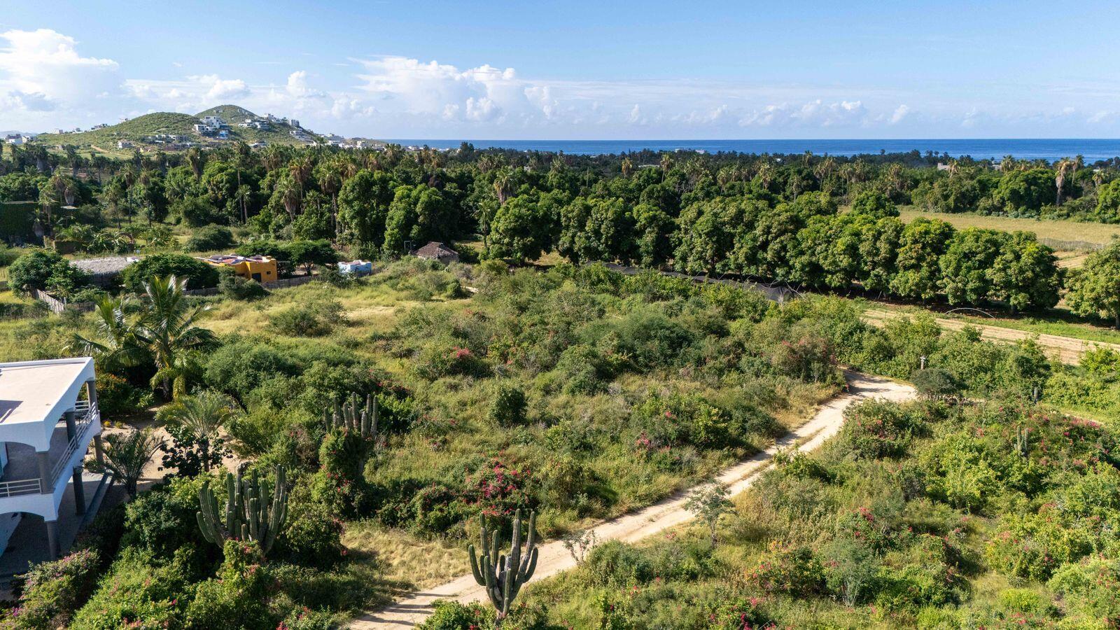 Lot in Pescadero, Pacific, photo 4