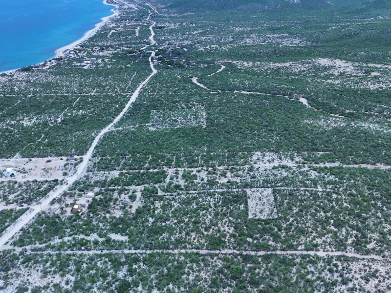 Los Algodones, Las Tinas, East Cape