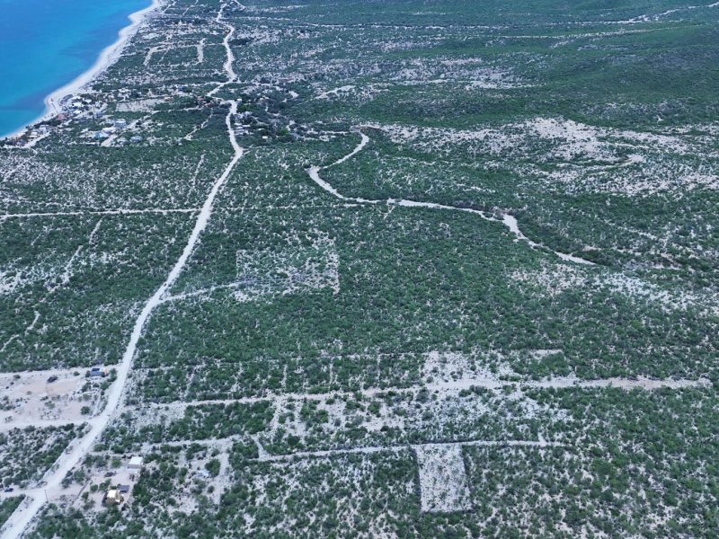 Los algodones, el cardonal, Las Tinas, East Cape