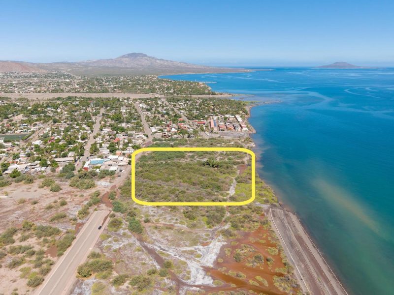 Lot in General, Loreto