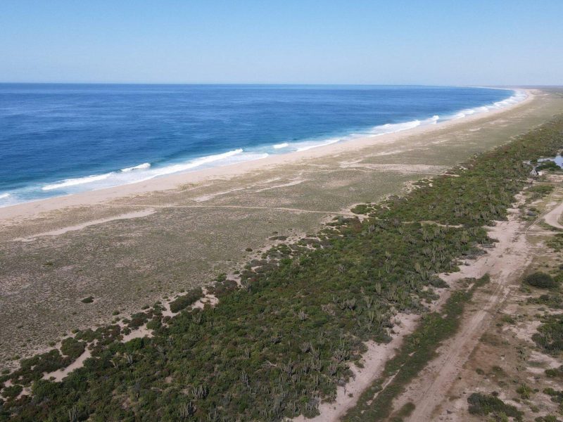 S/N Lomas de Las Playitas, Pacific